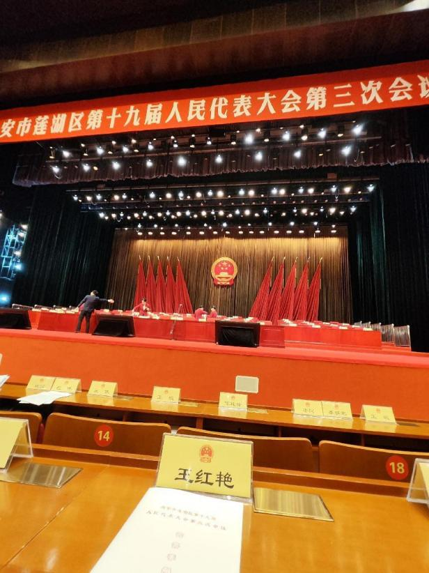 建言献策担使命 王红艳总裁参加莲湖区第十九届人民代表大会第三次会议